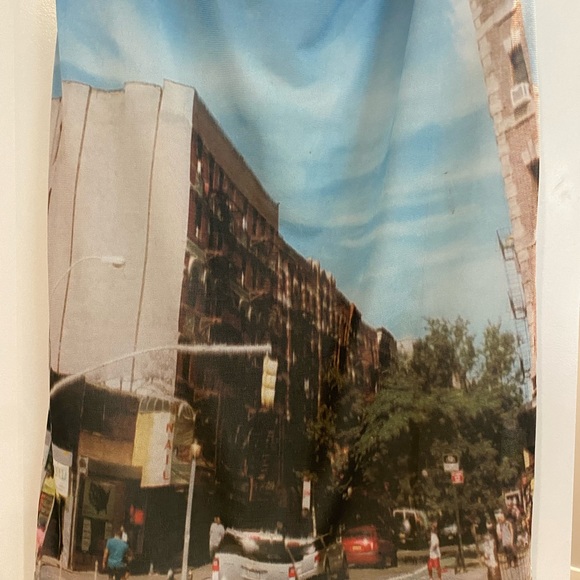 Rejina pyo Amy Skirt (New York print) - Picture 4 of 9